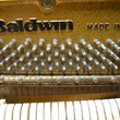 1996 Limited Edition Baldwin Hamilton designer studio - Upright - Studio Pianos